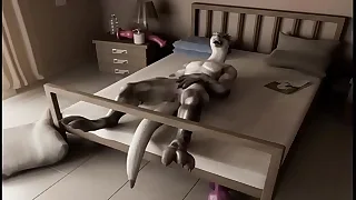 Gay XXX Cam